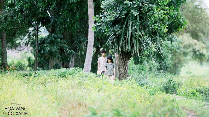 Nhìn rõ để tháo gỡ nút thắt