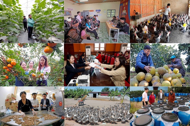 Hơn 2,3 triệu lượt hộ nghèo được vay vốn để vượt khó trong năm 2024