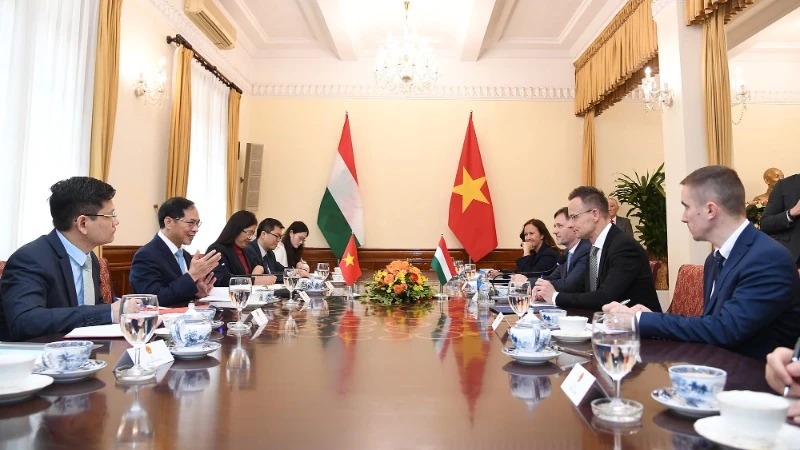 Việt Nam luôn coi trọng và mong muốn tăng cường hợp tác với Hungary