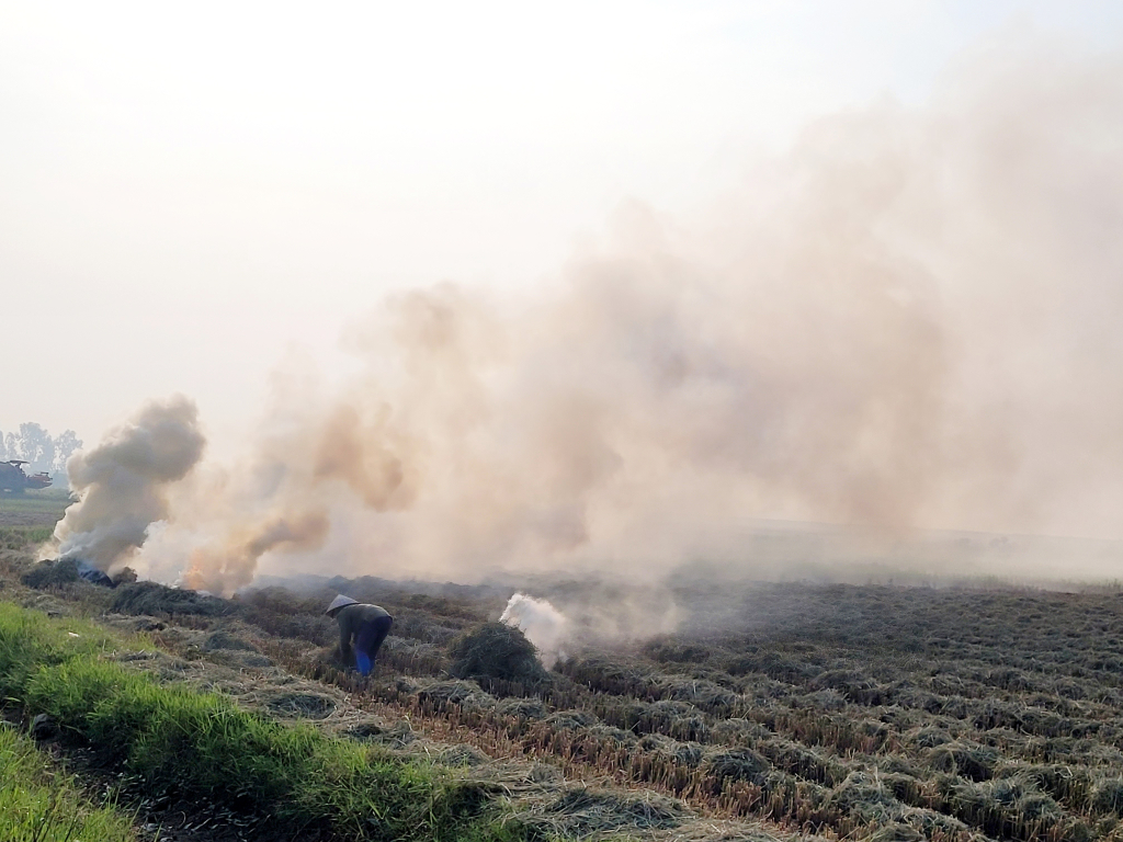 Đốt rơm, rạ gây ô nhiễm môi trường