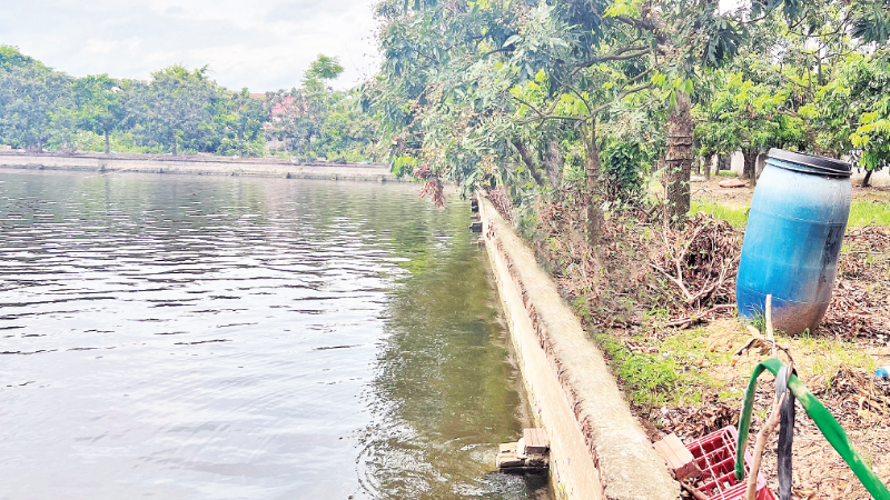 Những mùa nhãn trái vụ. Bài 2: Nông dân thời đại mới