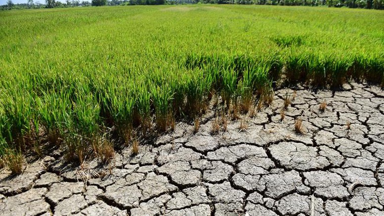 Chỉ đạo điều hành của Chính phủ, Thủ tướng Chính phủ ngày 17/2/2025