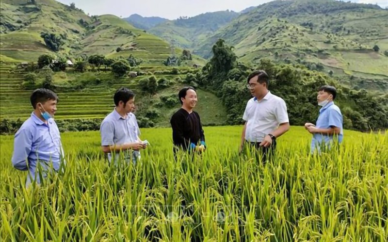 Nhiều bài học quý trong bố trí lãnh đạo cấp huyện không là người địa phương