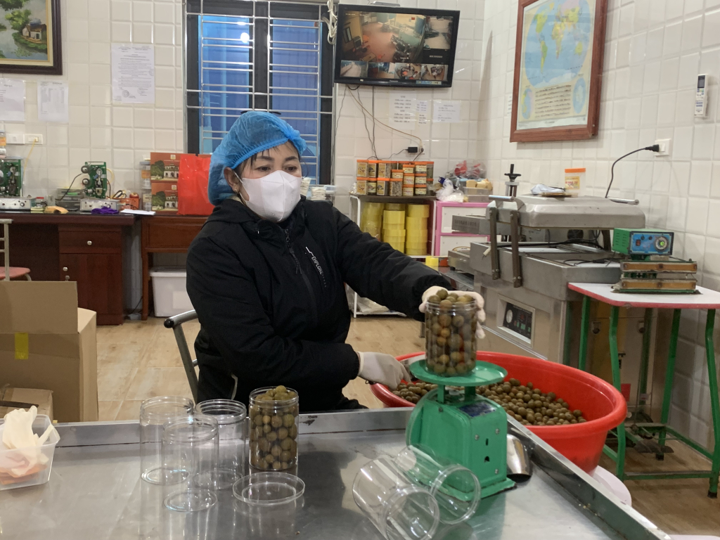 Phát triển sản phẩm OCOP