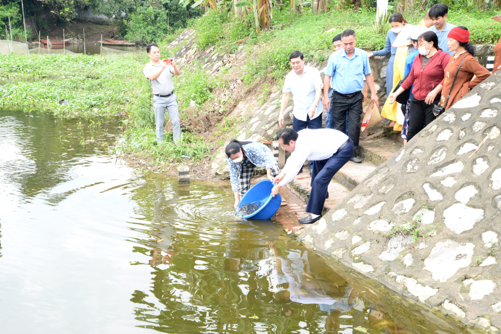 Thả cá phóng sinh, tái tạo và phát triển nguồn lợi thuỷ sản