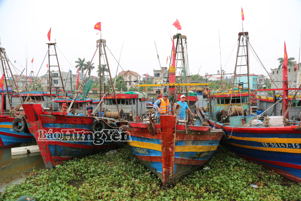 Hưng Yên chủ động ứng phó với bão số 5