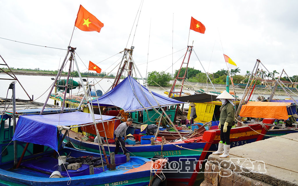 Hưng Yên: Các xã ven biển chủ động ứng phó với bão số 9