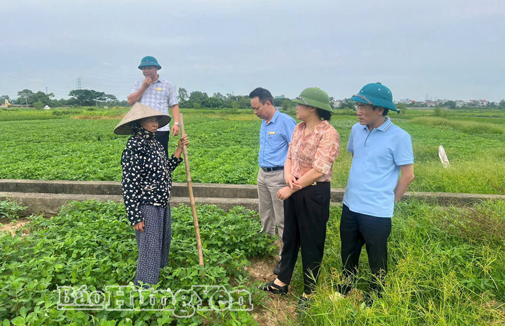 Xã Vũ Thư: Lắng nghe, giải quyết kịp thời kiến nghị của cử tri