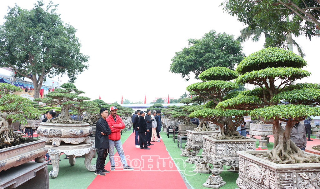 Gần 350 tác phẩm sinh vật cảnh tinh hoa quy tụ tại triển lãm sinh vật cảnh xã Tân Thuận