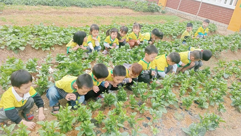 Những vấn đề cần giải quyết trong giáo dục mầm non