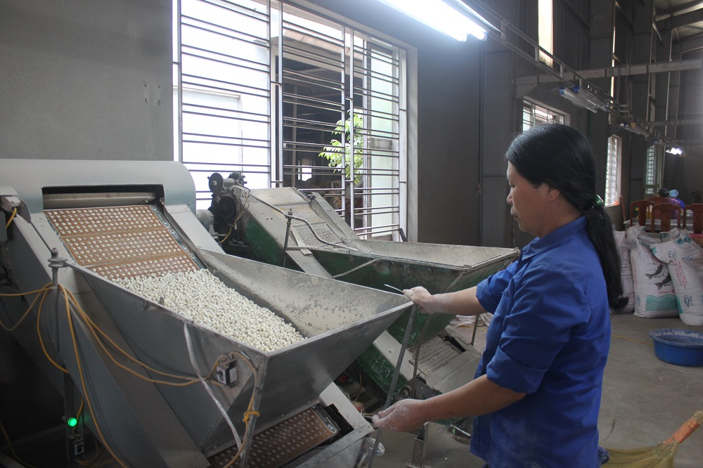 Những cựu chiến binh giỏi làm kinh tế, giàu lòng nhân ái