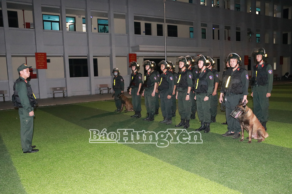 Tăng cường đấu tranh, trấn áp tội phạm gây rối trật tự công cộng