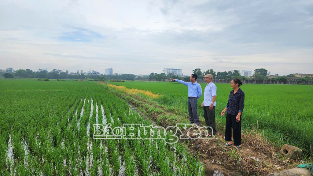 Phường Trần Lãm: Phát huy vai trò nòng cốt của bí thư chi bộ