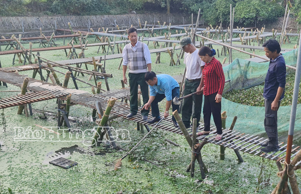 Cựu chiến binh giàu nghị lực