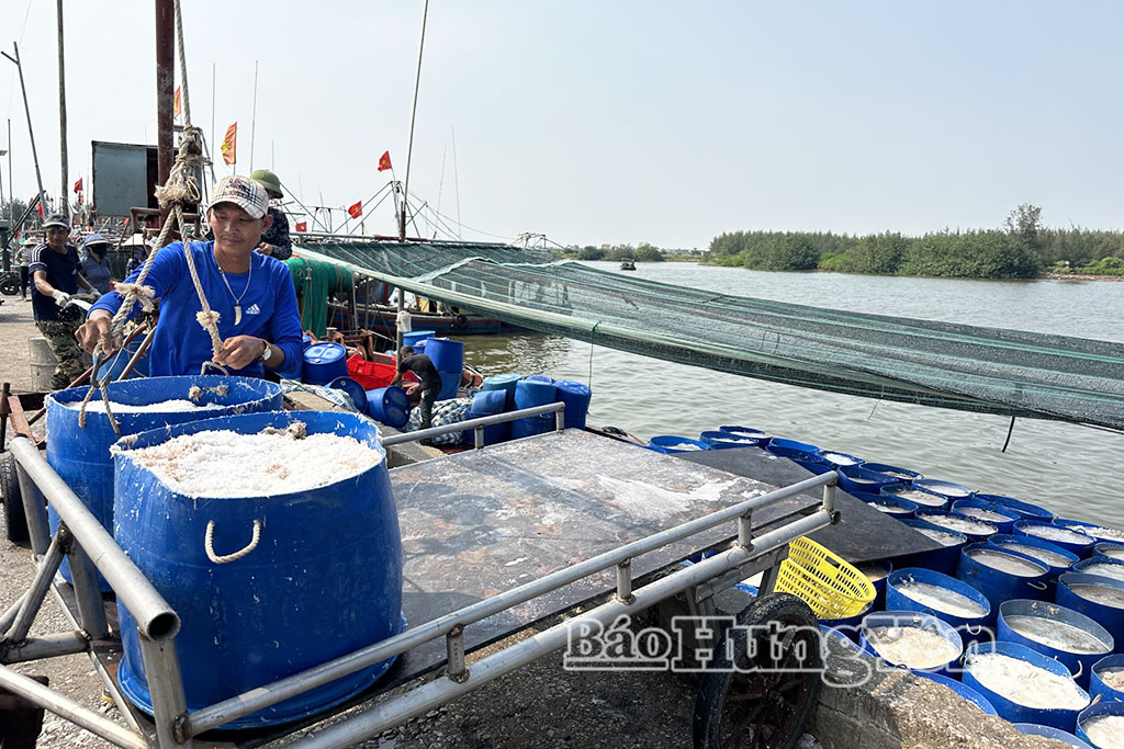 Thôn Quang Thịnh đi lên từ biển