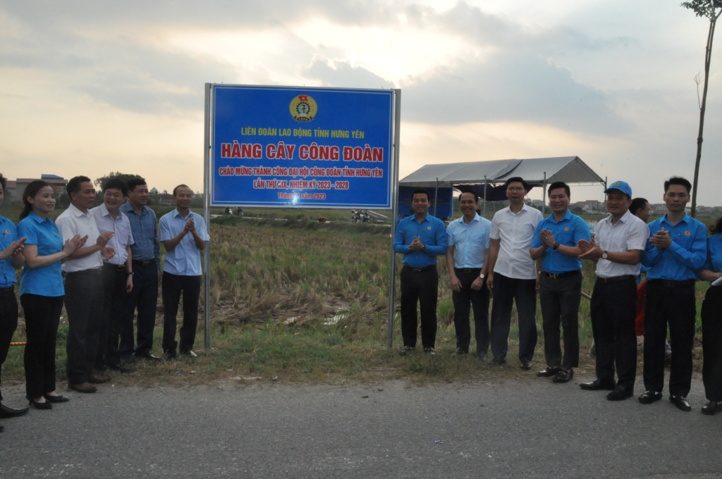 Cụm thi đua số 1 Liên đoàn Lao động tỉnh: Gắn biển công trình “Hàng cây công đoàn”