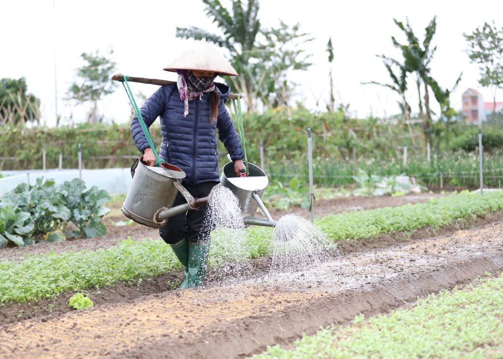 Người lao động gồng mình trong giá rét
