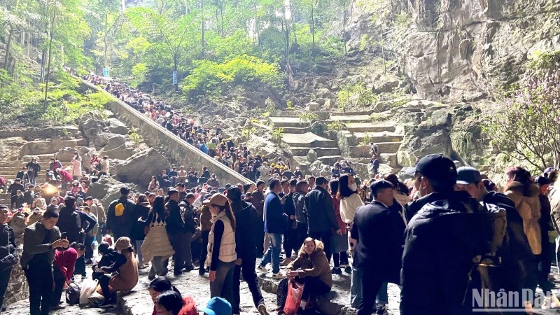 Định vị thương hiệu du lịch Việt Nam trên trường quốc tế