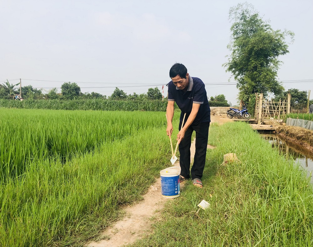 Nhiều hoạt động thiết thực của câu lạc bộ CCB tự quản bảo vệ môi trường