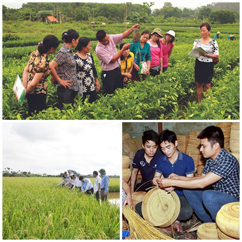 Quy định đơn vị sự nghiệp công lập khuyến nông cấp tỉnh, cấp xã