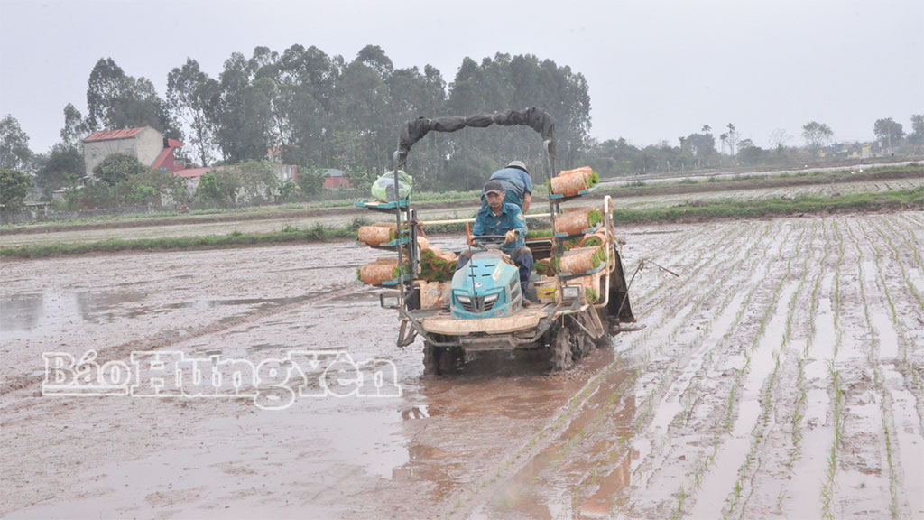 Gần 50 tỷ đồng hỗ trợ nông dân mua máy và thiết bị phục vụ sản xuất nông nghiệp