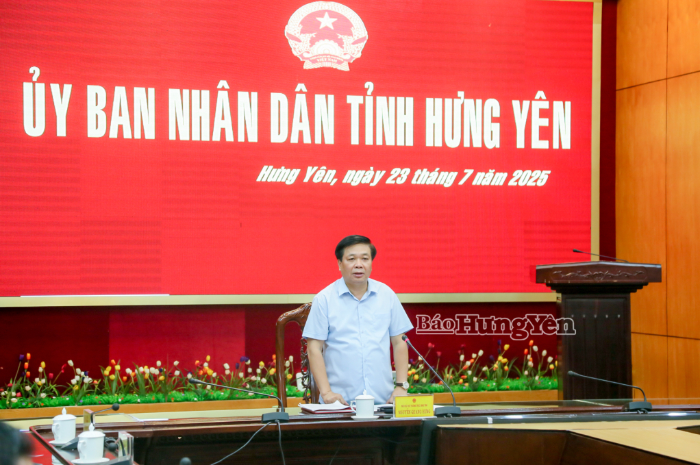 UBND tỉnh cho ý kiến về tiến độ Dự án nhà máy điện khí LNG và các dự án phát triển nhà ở