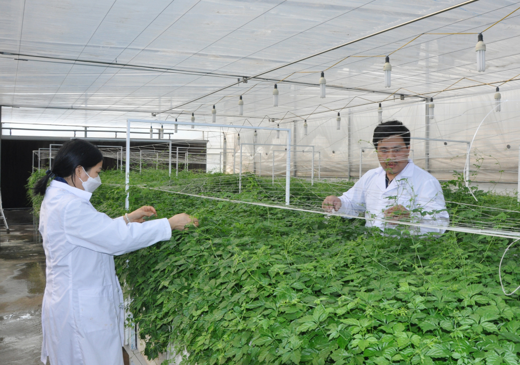 Niềm vui của những người làm khoa học