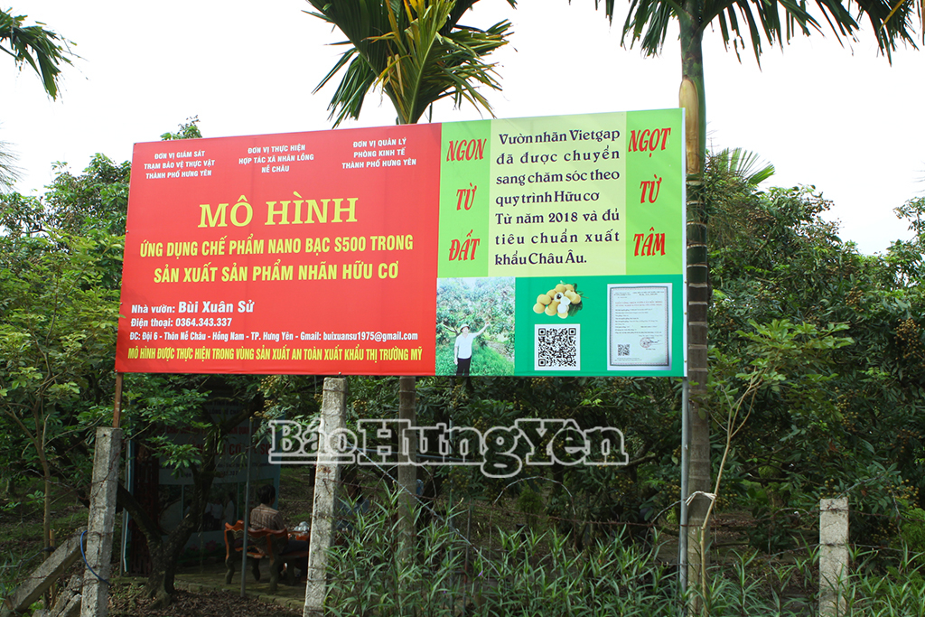 Anh nông dân đam mê làm nông nghiệp sạch