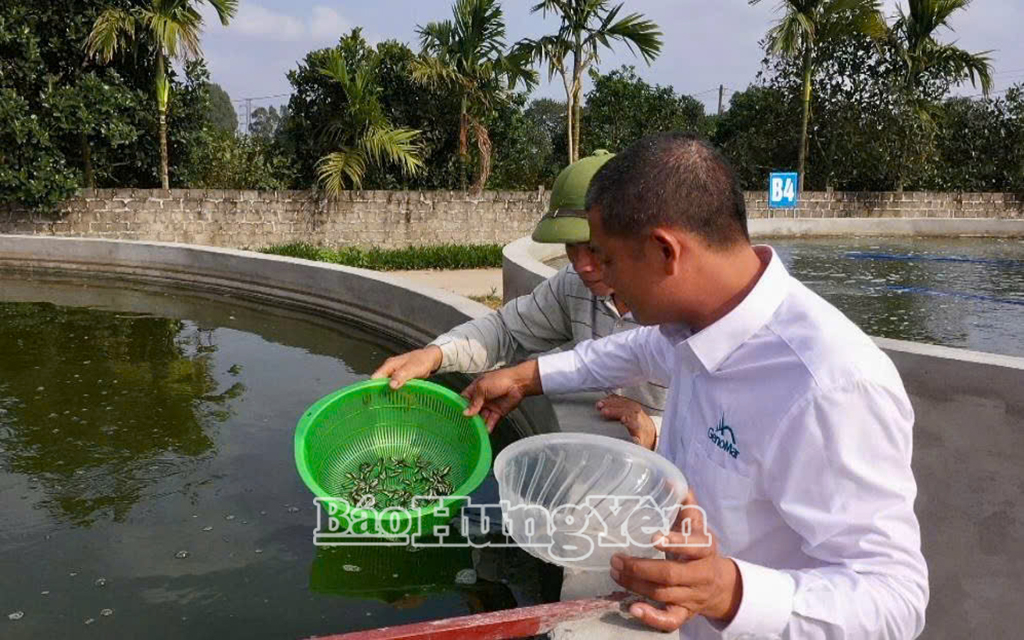 Hình thành chuỗi liên kết để phát triển hợp tác xã bền vững