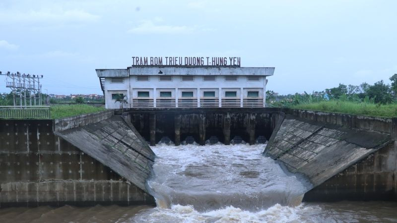 Hưng Yên: Hơn 1.100ha lúa bị ngập úng do hoàn lưu bão số 5