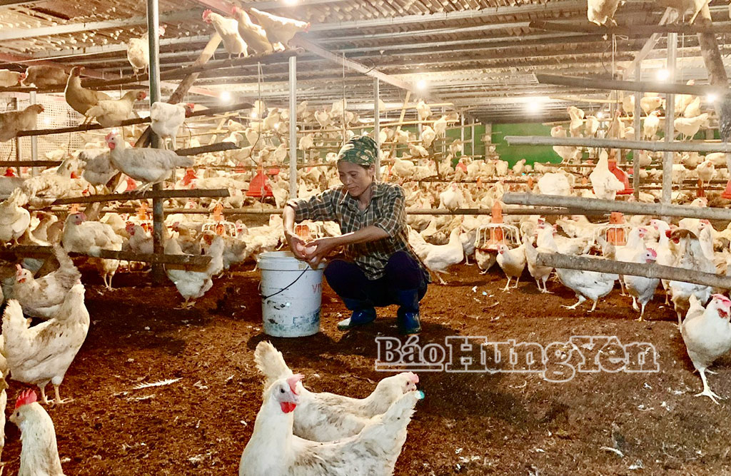 Xã Lương Bằng phát triển kinh tế trang trại, gia trại