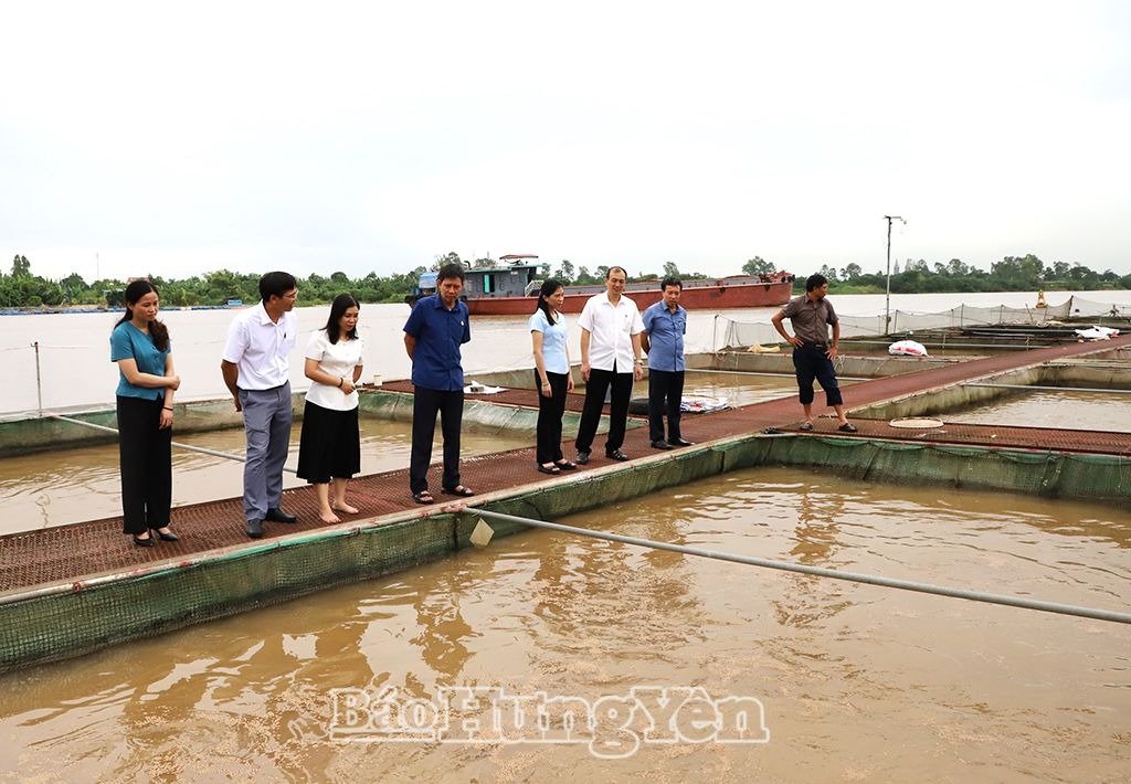 Đổi mới hoạt động các cụm, khối thi đua