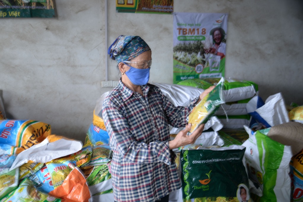 Hưng Yên: Gieo cấy 23,6 nghìn héc-ta lúa vụ xuân