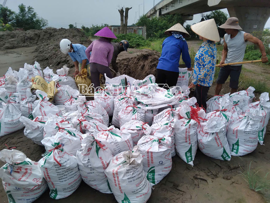 Hàng nghìn héc-ta lúa và diện tích nuôi trồng thủy sản ven biển bị ngập úng do bão số 3