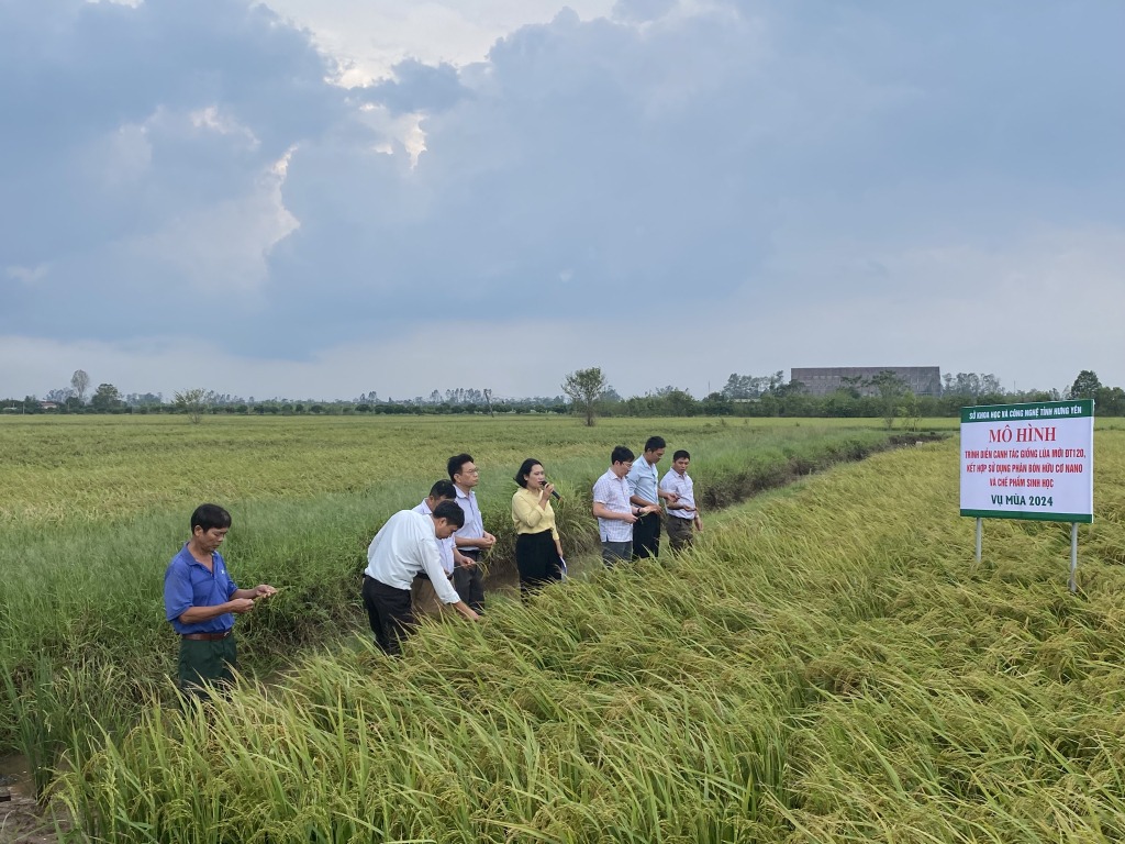 Phân bổ trên 500 tỷ đồng hỗ trợ phát triển sản xuất nông nghiệp