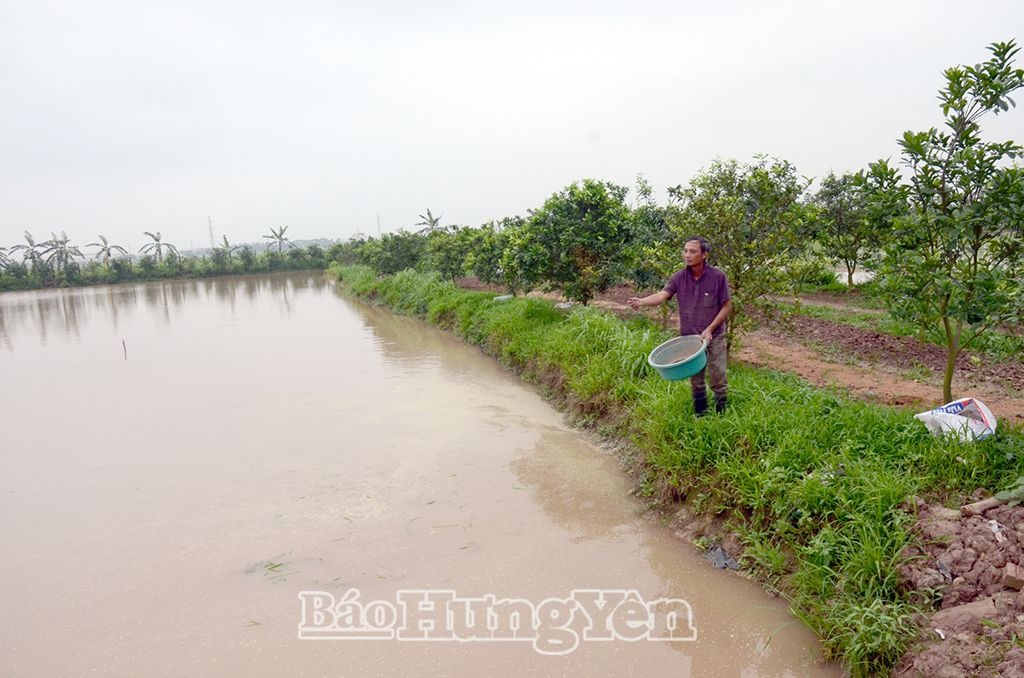 Phát triển kinh tế trang trại