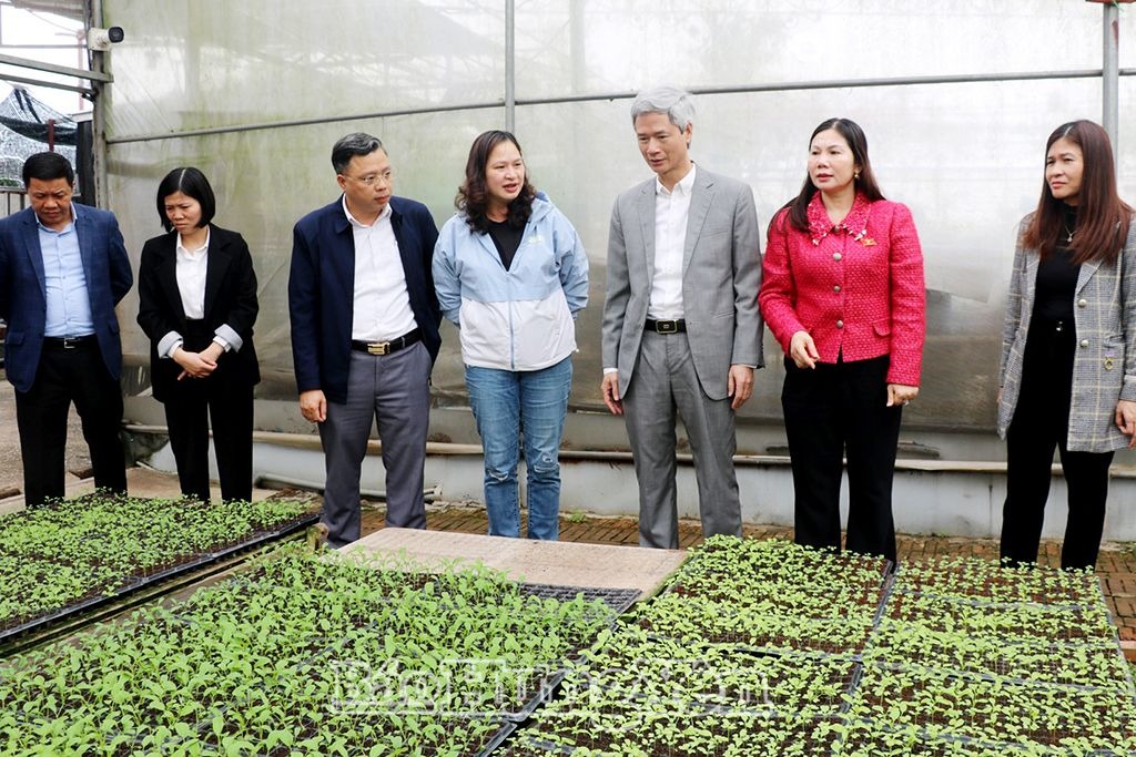 Đoàn giám của HĐND tỉnh giám sát chuyên đề tại các huyện Khoái Châu và Văn Giang