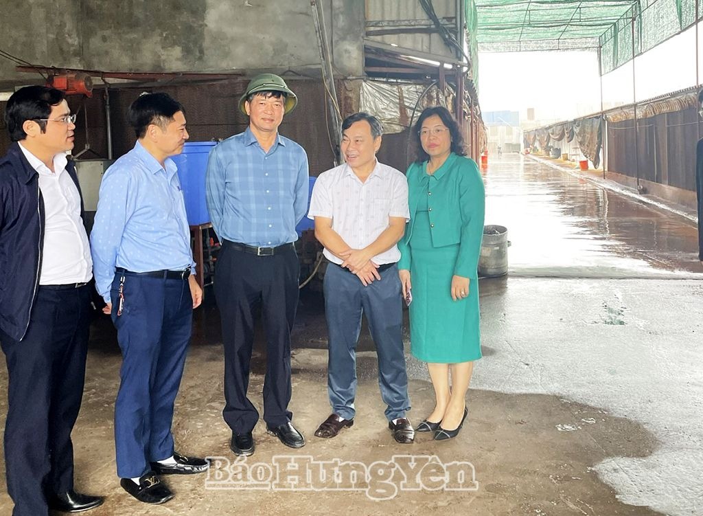 Đoàn giám sát của HĐND tỉnh giám sát chuyên đề tại các huyện Văn Lâm, Tiên Lữ và Ân Thi