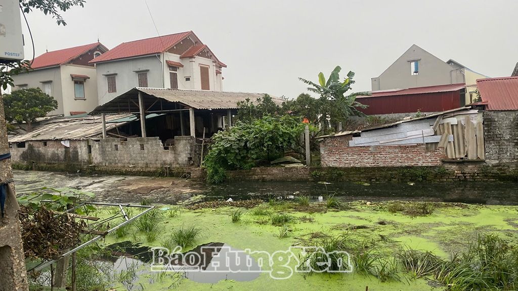 Cần xử lý dứt điểm việc xả chất thải chăn nuôi ra mương, cống thoát nước