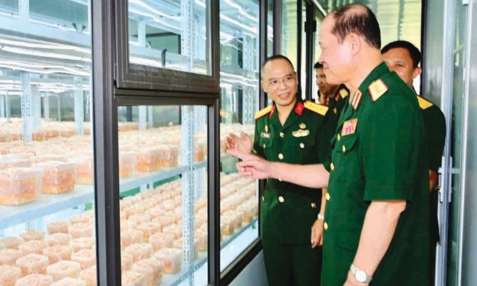 Hưng Yên: Gần 70% số gia đình hội viên CCB có kinh tế khá, giàu