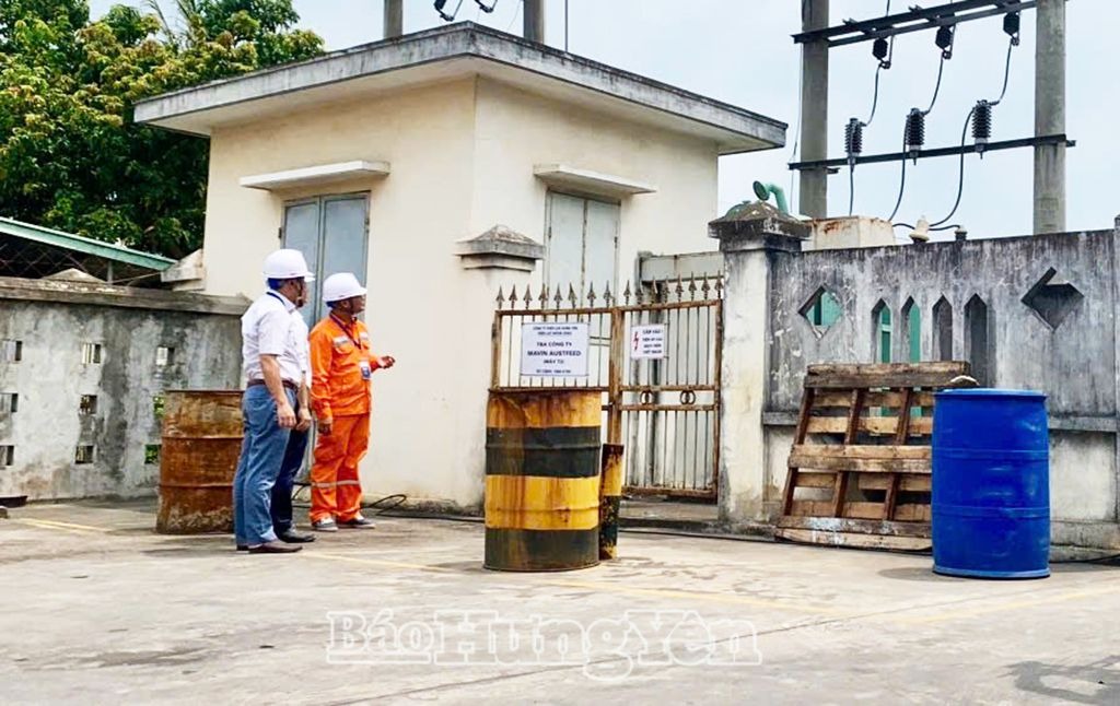 Giá điện tăng 4,8%, doanh nghiệp tìm cách thích ứng, Công ty cổ phần đầu tư Royal Việt Nam