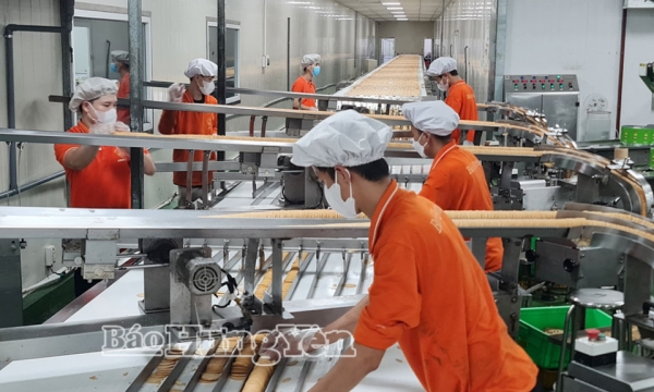 Ý kiến góp ý vào văn kiện đại hội đại biểu toàn quốc lần thứ XIV của Đảng