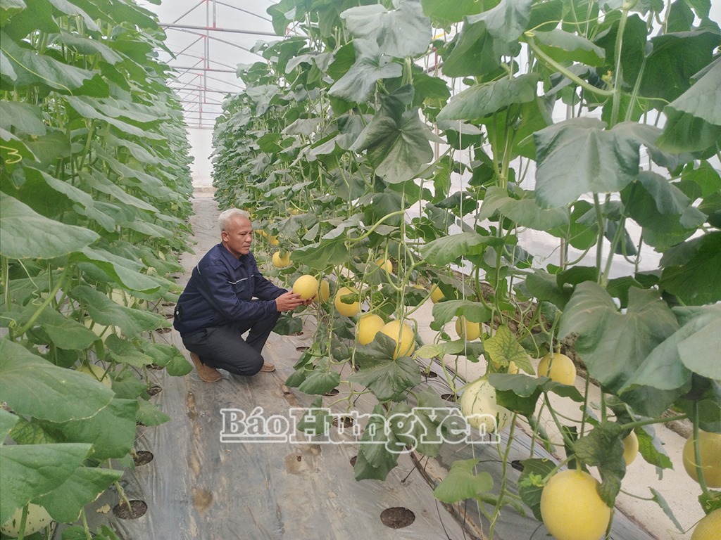 Nông dân xã Tống Trân phát triển kinh tế gắn với xây dựng nông thôn mới kiểu mẫu