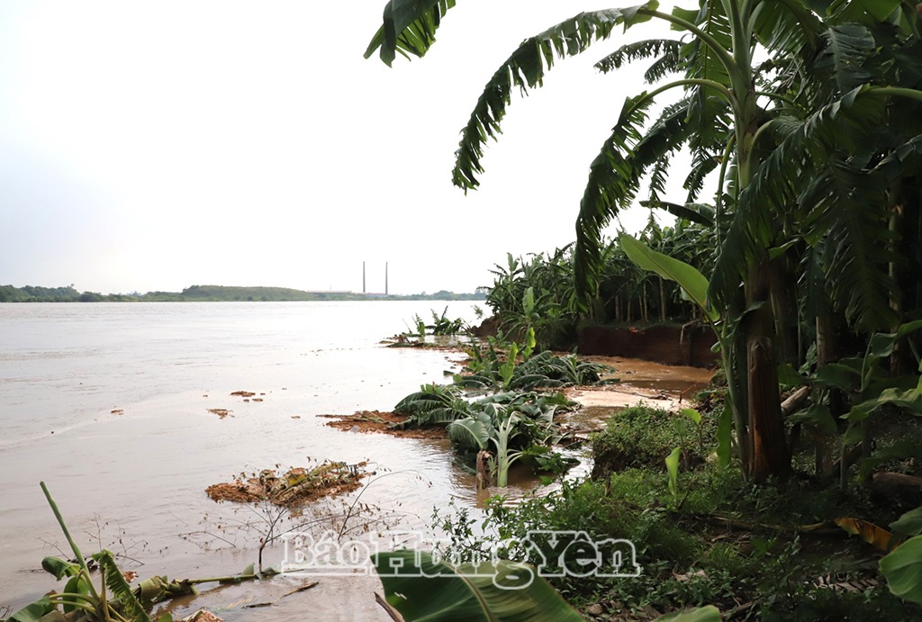 39,5 tỷ đồng đầu tư xử lý sạt lở hạ lưu tuyến kè Phú Mỹ