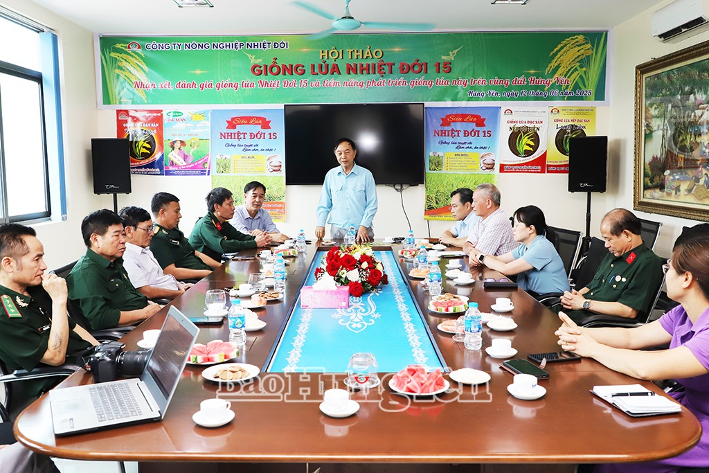 Giống lúa Nhiệt đới 15 đạt năng suất 9 tấn/ha