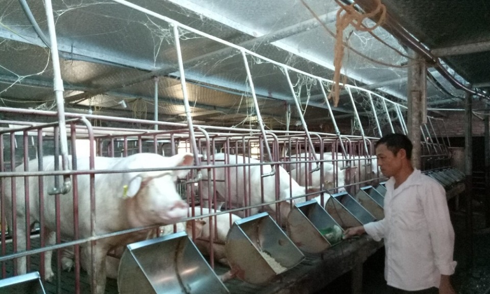 Văn Lâm: Dạy nghề miễn phí cho 200 hội viên Hội Nông dân