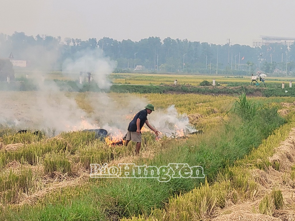 Lợi ít, hại nhiều từ việc đốt rơm, rạ
