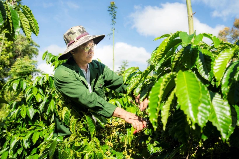 Tổng điều tra nông thôn, nông nghiệp 2025 diễn ra trên cả nước từ ngày 1/7