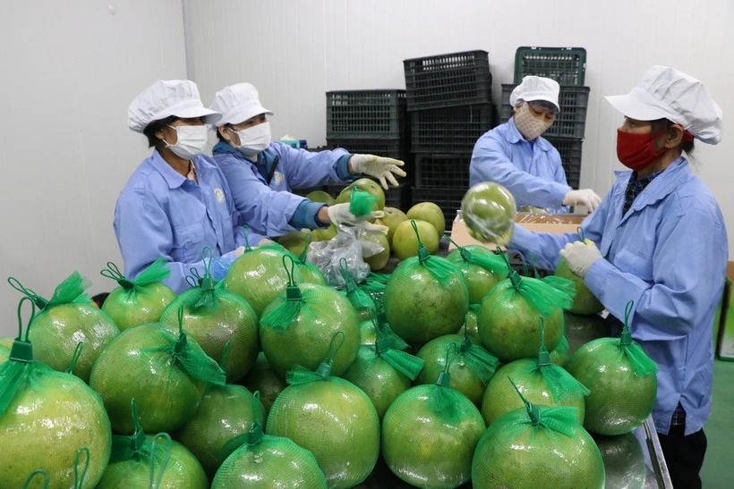 ‘Gieo mầm tư duy xanh’ để thực hiện các mục tiêu phát triển bền vững