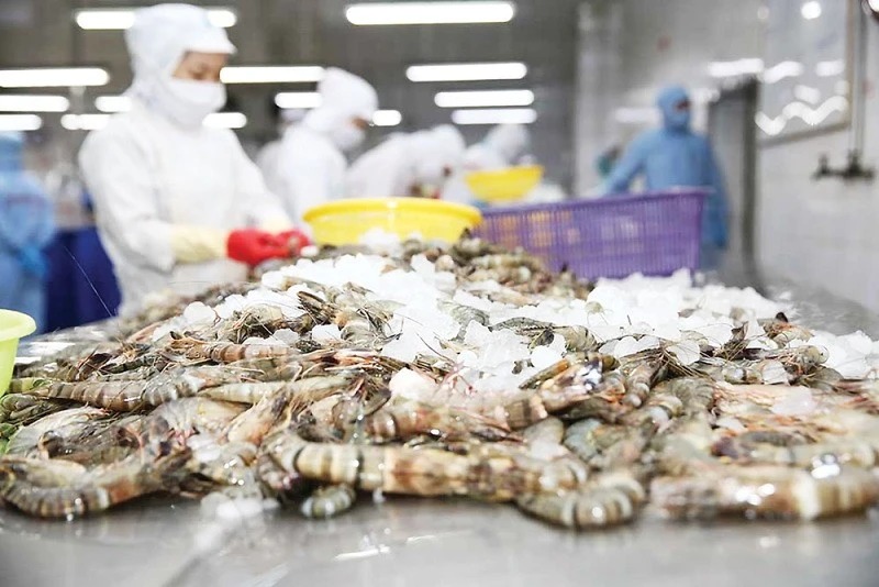 Việt Nam và Cuba hợp tác mở rộng hợp tác nuôi tôm công nghệ cao